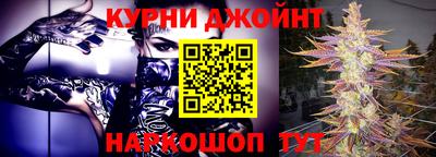 сатива Волгодонск