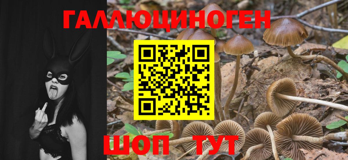 Новоалтайск  Псилоцибиновые грибы Psilocybe  Вход с VPN  Псилоцибиновые грибы ЛСД 